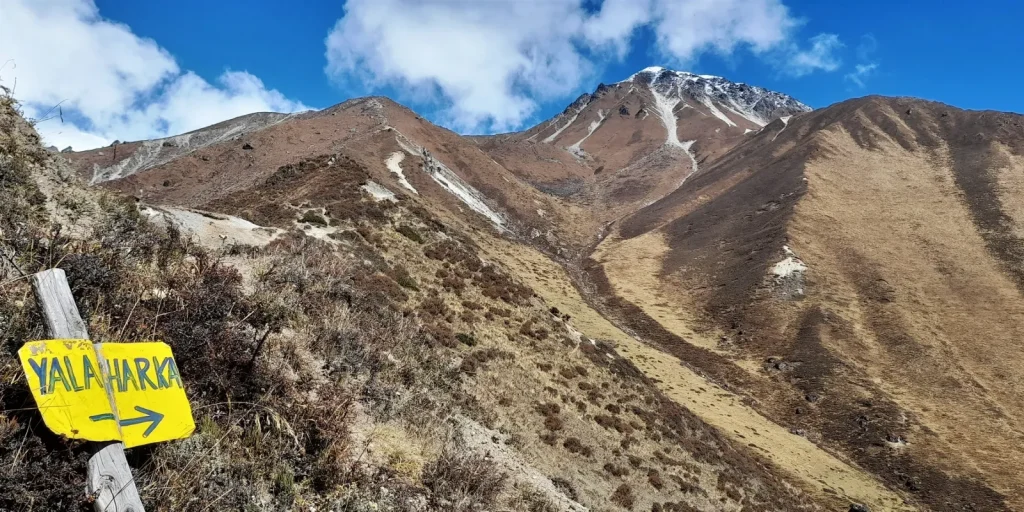 Snow View Trek Yala Kharka