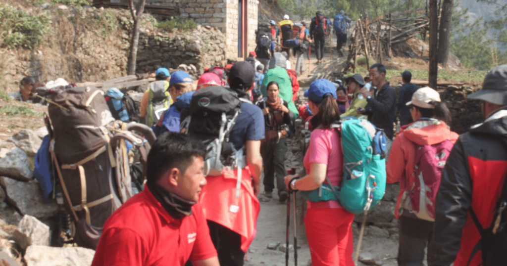 Numerous Trekkers