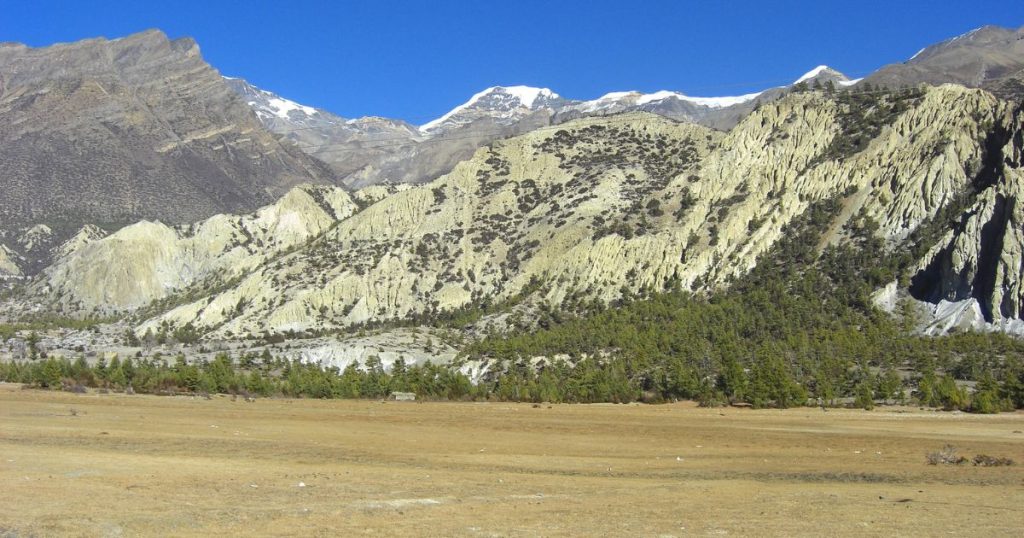 Green valley on the way