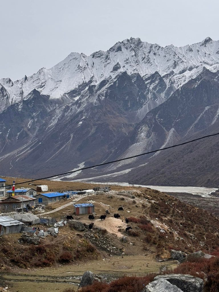 Mountains in Langtang