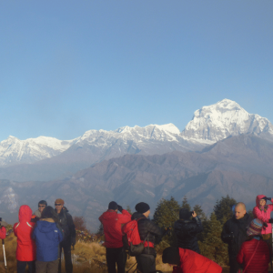 Corporate Group Short Trek to Poon Hill